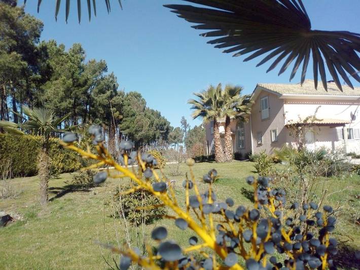 Gîte pour 3 personnes, avec terrasse et jardin ainsi que piscine et vue à Mangualde - 3