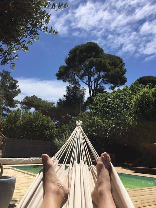 Location de vacances pour 8 personnes, avec piscine et jardin, animaux acceptés à Florensac - 4