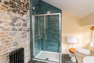 Bnb für 16 Personen in County Laois, Leinster, Bild 1