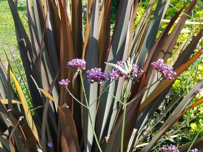 Chambre d’hôte pour 3 personnes, avec piscine ainsi que vue et jardin, animaux acceptés à Yvré-l'Évêque - 2