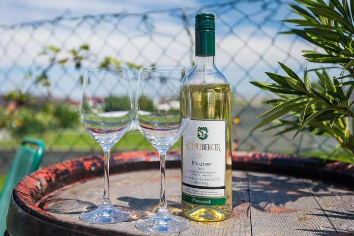 Ferienhaus für 5 Personen, mit Seeblick und Ausblick sowie Garten am Neusiedler See - 3