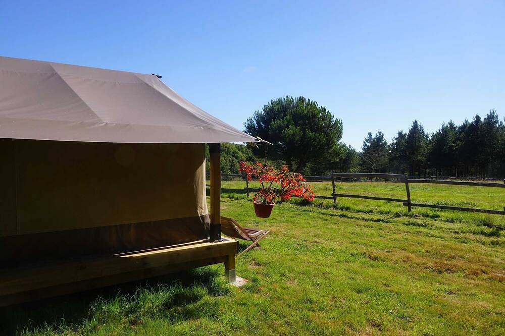 Bivouac en pleine nature in Le Champ-Saint-Père, Vendée