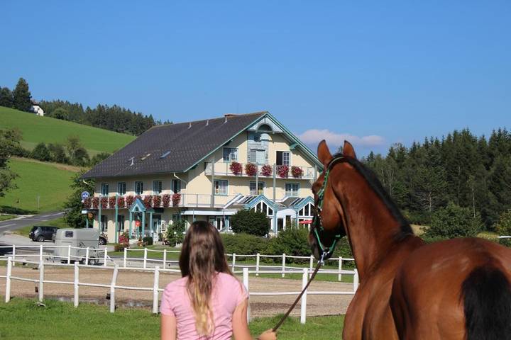 BnB für 2 Personen, mit Garten und Sauna in der Oststeiermark