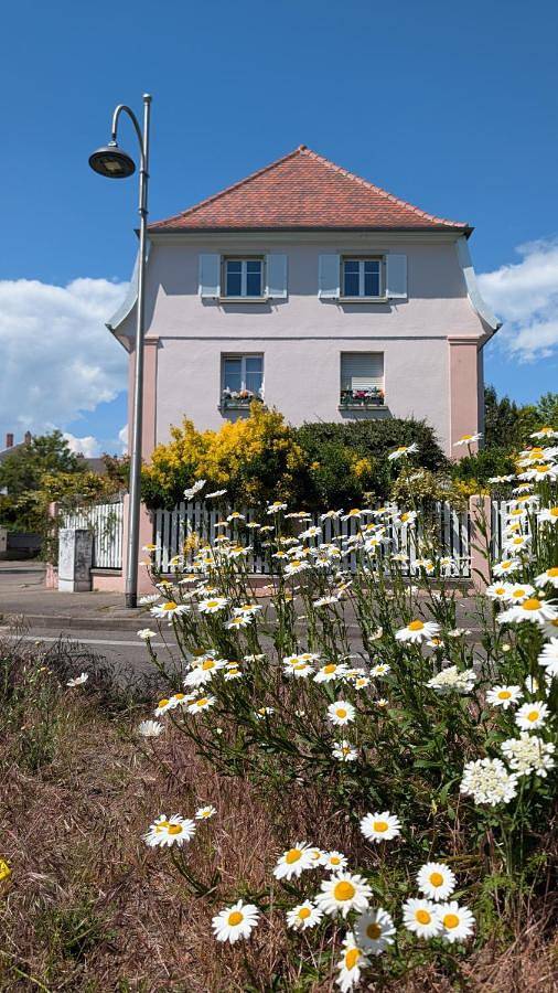 Appartement de vacances pour 2 personnes, avec Vue à Colmar - 2