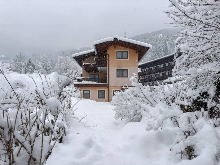 Pension für 4 Personen, mit Garten, mit Haustier in Zell am See - 2