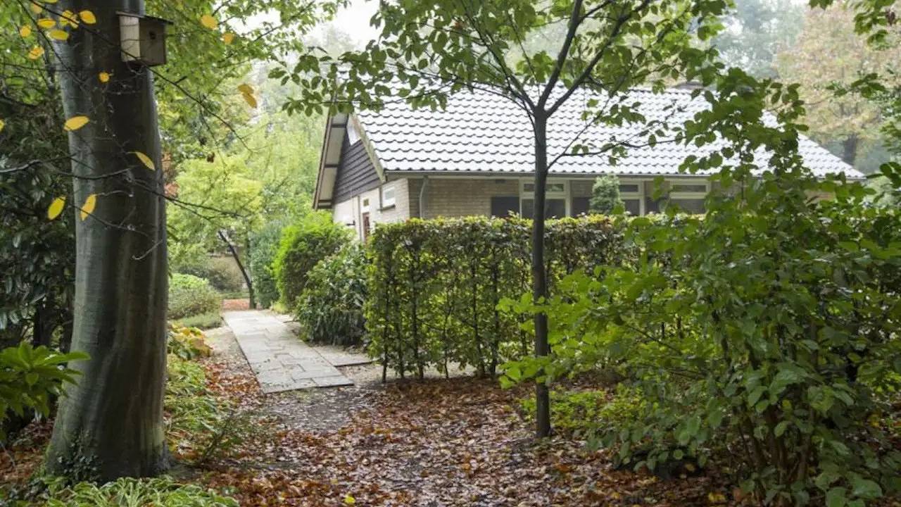 Bungalow für 4 Personen (65 m²) in Mook in Mook, Limburg (Niederlande)