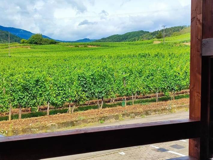 Location de vacances pour 6 personnes, avec jardin et vue à Bergheim