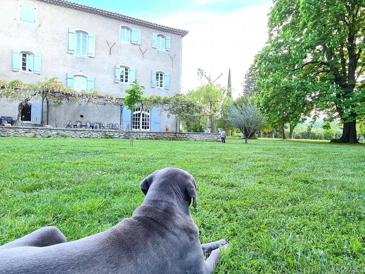 Chambres d'hotes le Domaine de Romanil in Saint-Rémy-de-Provence, Région d'Arles