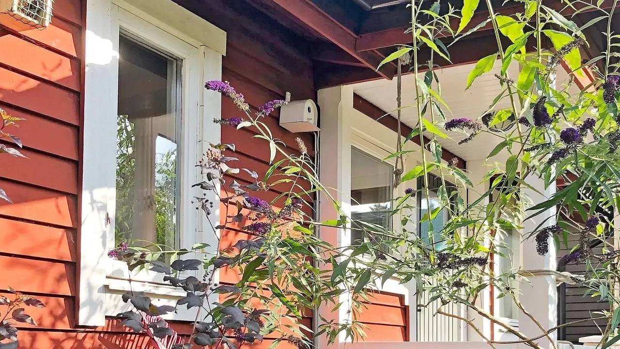 Ferienhaus für 6 Personen (67 m²) in Ornö in Stockholmer Schärengarten