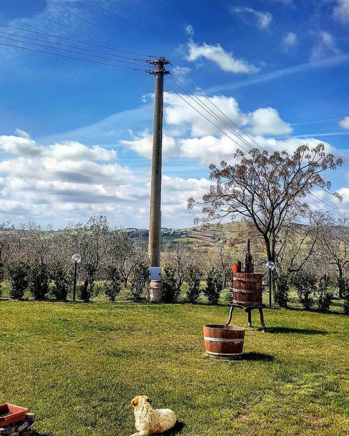 Agriturismo per 2 persone, con Terrazza e Giardino nonché Panorama a Magliano in Toscana