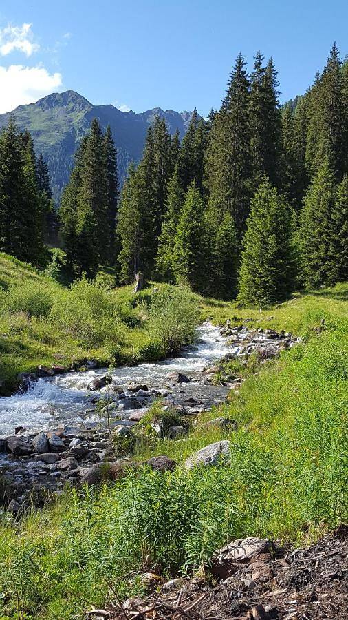 Gallfallalm in Villgratner Berge, Gsies