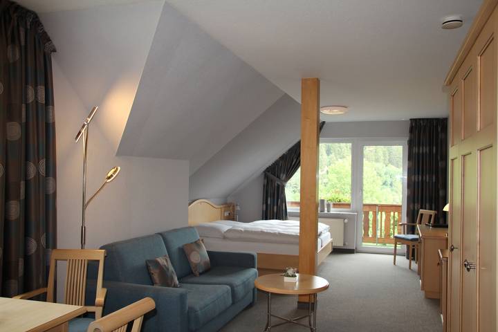 Ferienwohnung für 2 Personen, mit Balkon/Terrasse und Balkon sowie Terrasse in Willingen - 3