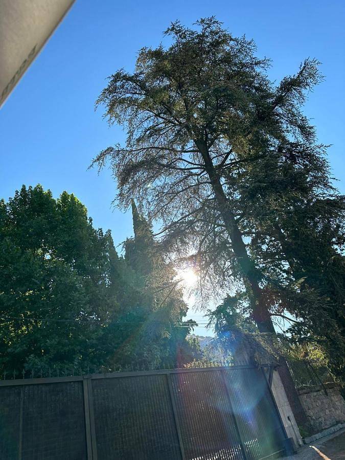 Location de vacances pour 6 personnes, avec Terrasse ainsi que Jardin et Vue à Alfacar - 4