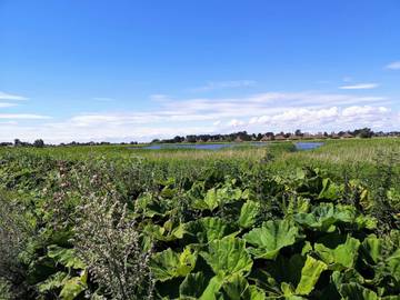 Ferieudlejning til 4 Personer i Karrebæksminde, Enø, Billede 4