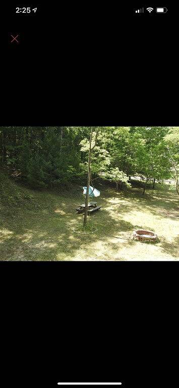 Cute 4 bed 2 bath cottage, short walk to shared road end dock. in Higgins Lake