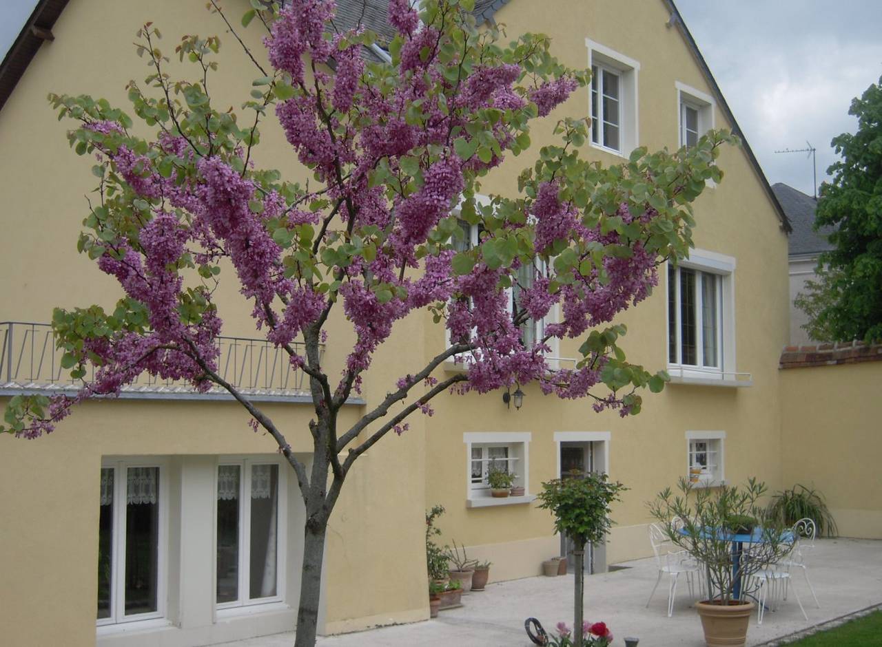 Location petit studio - studio meublé chez habitant in Bellême, Parc naturel régional du Perche
