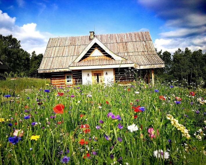Ferienwohnung für 3 Personen, mit Terrasse und Garten - 1