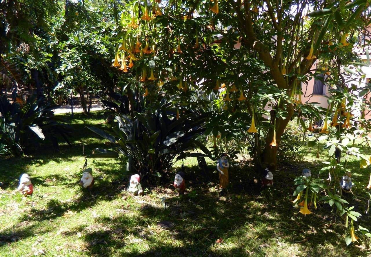 Large Double Room in Torre Archirafi, Riposto