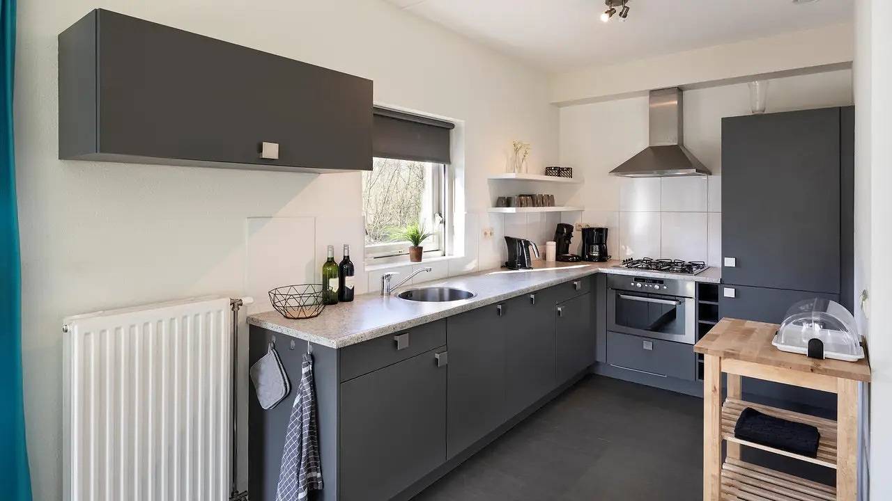 Villa voor 6 personen met terras in Ruinen, Nationaal Park Dwingelderveld