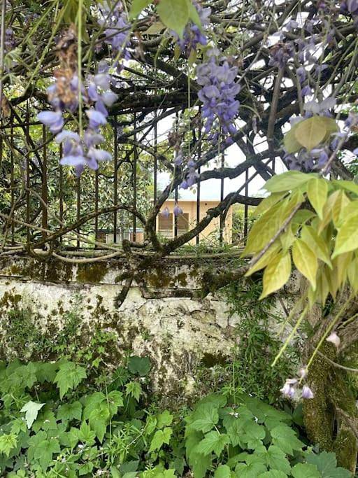 Location de vacances pour 4 personnes, avec terrasse et jardin à Capian - 3