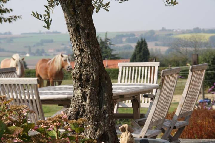 Chambre d’hôte pour 2 personnes, avec vue et jardin dans la Région d'Audenarde - 2