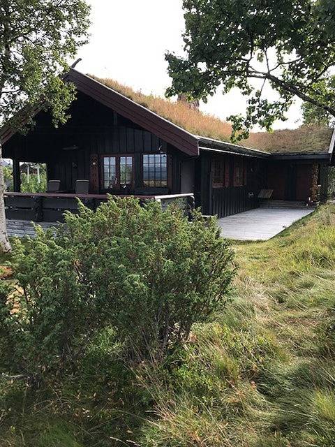 Ferienhaus für 8 Personen, mit Terrasse, mit Haustier - 1