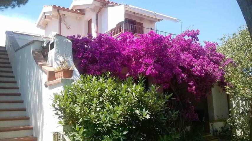 Chambre d’hôte pour 2 personnes, avec jardin à Muravera - 2