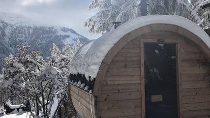 Vakantiewoning voor 4 Personen in Bellwald, Goms, Afbeelding 4