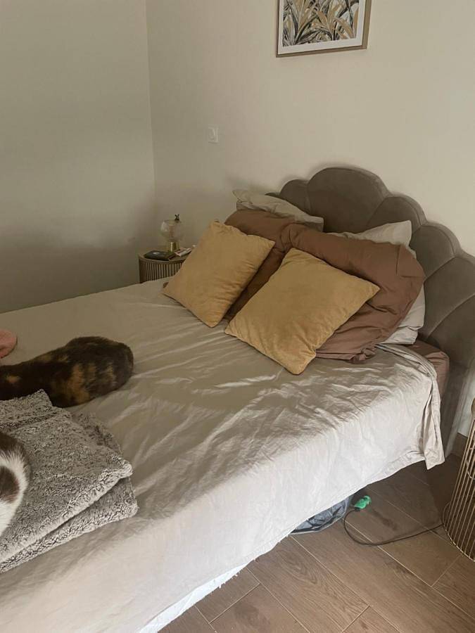 Gîte pour 2 personnes, avec piscine et terrasse à Dommartin - 4