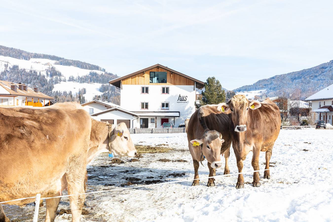 Ganze Wohnung, Moderne "Hus Ferienwohnung - Nr. 4" mit Balkon, Garten & Wlan in Olang, Dolomiti Superski