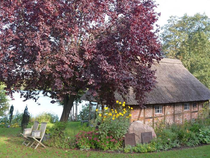 Ferienhaus für 4 Personen, mit Terrasse und Garten sowie Sauna und Ausblick in Holsteinische Schweiz - 4