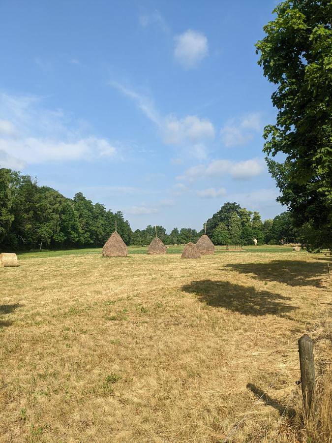 BnB für 12 Personen, mit Ausblick und Garten sowie Sauna in Brandenburg - 2