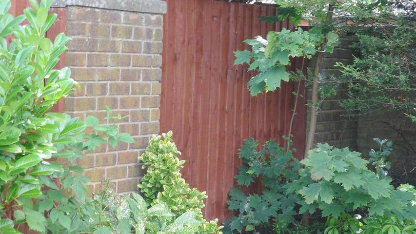 Maison d’hôte pour 2 personnes, avec terrasse et jardin à Liverpool - 4