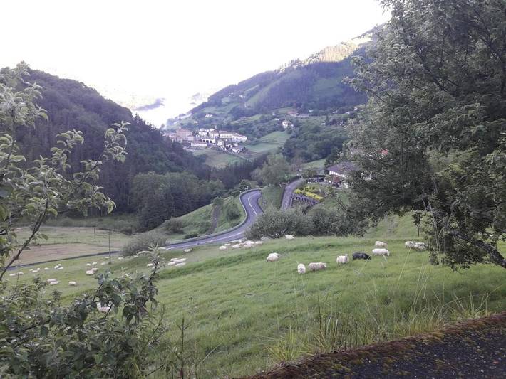 Casa rural para 16 personas en Guipúzcoa - 4