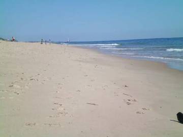 Vacation Home for 8 Guests in Village of East Hampton, North Fork, Picture 4