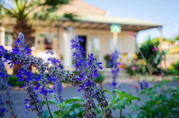 Camping pour 6 personnes, avec terrasse et piscine au Grau-d'Agde - 2
