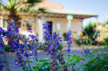 Camping pour 4 Personnes dans Grau-d'Agde, Agde, Photo 1