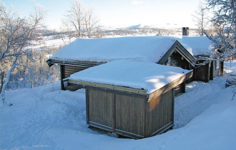 Ferienhaus für 10 Personen, mit Sauna und Terrasse, mit Haustier in Ost-Norwegen - 4