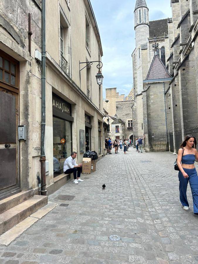 Gîte pour 6 personnes, avec vue dans Office De Tourisme De Dijon - 3