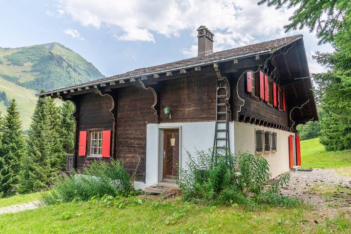 Ganze Ferienwohnung, Chalet La Bürsch - 6 Zimmer Chalet in Les Mosses, Ormont-Dessous
