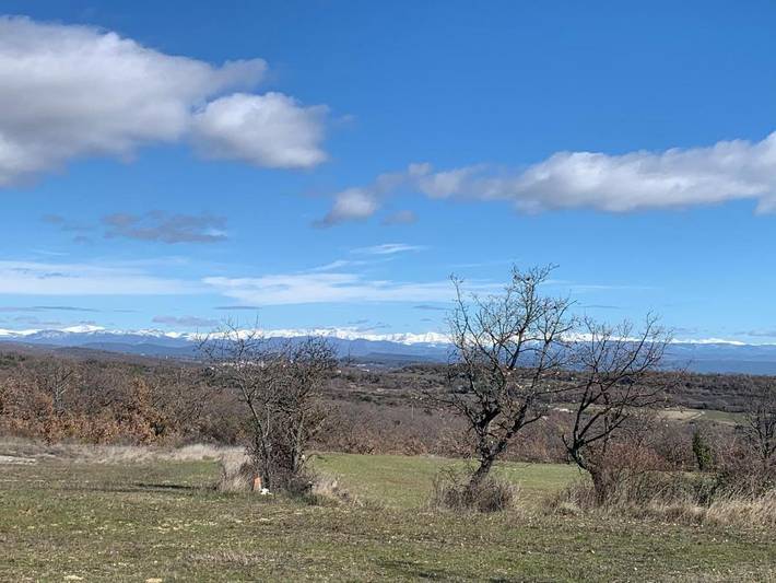 Location de vacances pour 10 personnes, avec piscine ainsi que vue et jardin, animaux acceptés à Revest-des-Brousses - 2
