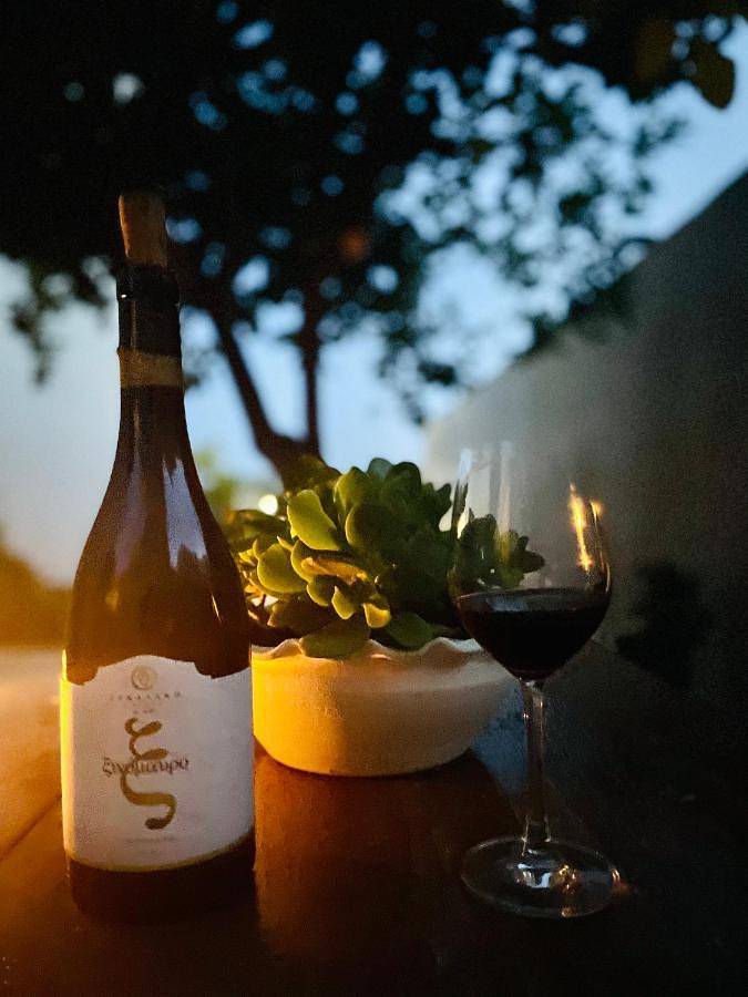 Chambre d’hôte pour 2 personnes, avec jardin, animaux acceptés dans Syros - 4