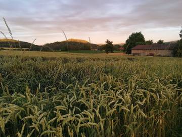 Ferienhaus für 4 Personen in Stockach, Landkreis Konstanz, Bild 3