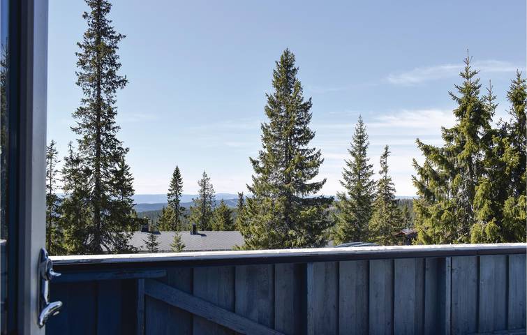 Location de vacances pour 6 personnes, animaux acceptés dans Sjusjoen - 3