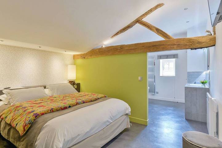 Château pour 19 personnes dans Rhône - 3