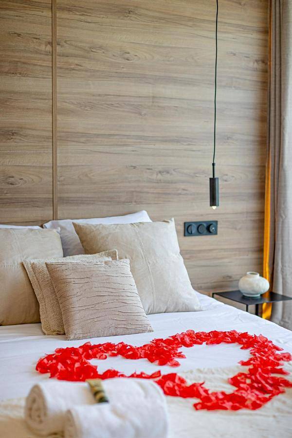 Appartement entier, One-Bedroom Apartment in Tresserve, Région de Chambéry
