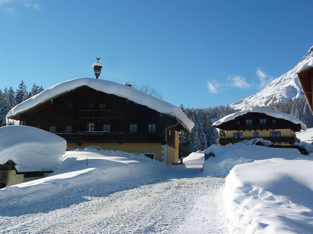 Ganze Ferienwohnung, Ferienhaus in Mühlbach am Hochkönig, Ski Amadé