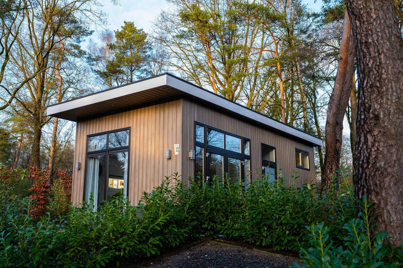Tiny House voor 4 personen op vakantiepark de Rimboe in Hoenderloo op de Veluwe. in Veluwe