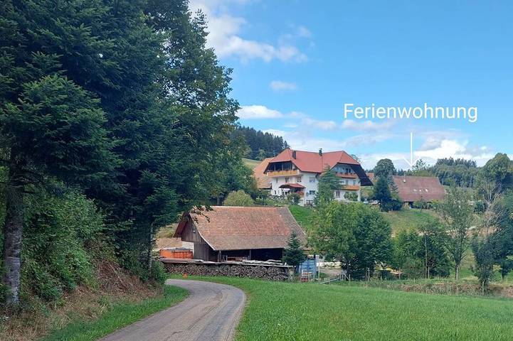 Gîte pour 7 personnes, avec balcon à Biederbach - 2