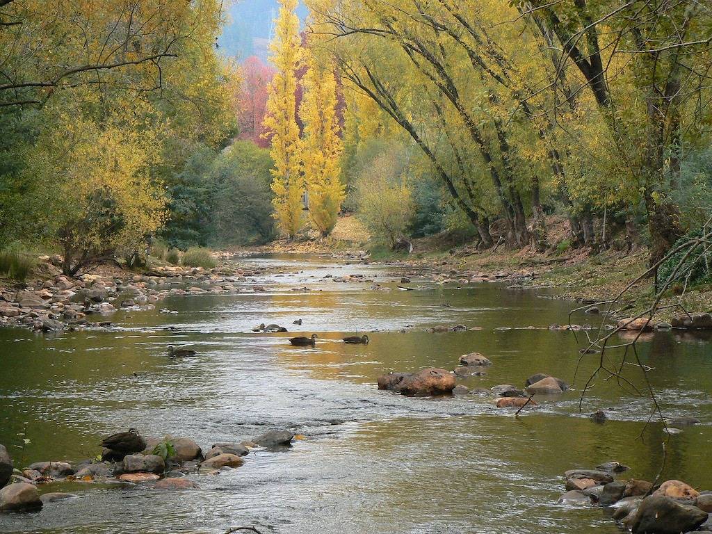 Tessies Studio - perfekt für zwei und ihre Haustiere - zu Fuß in die Stadt und zum Fluss in Bright, Alpine Shire
